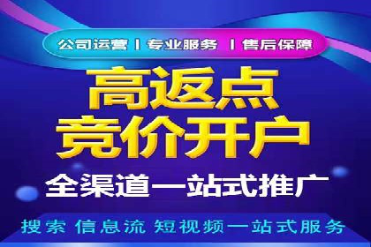 竞价广告的创意与执行：经典案例剖析